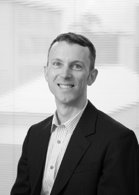 photo of Shawn
                              Whelan, Mediator Facilitator and
                              Consultant